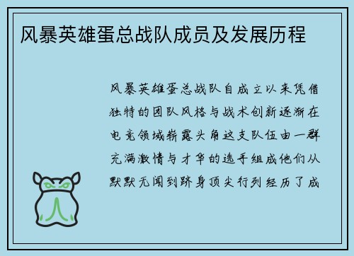 风暴英雄蛋总战队成员及发展历程