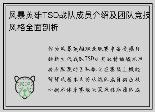 风暴英雄TSD战队成员介绍及团队竞技风格全面剖析