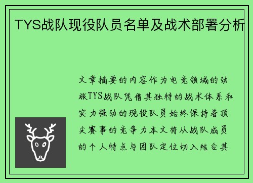 TYS战队现役队员名单及战术部署分析